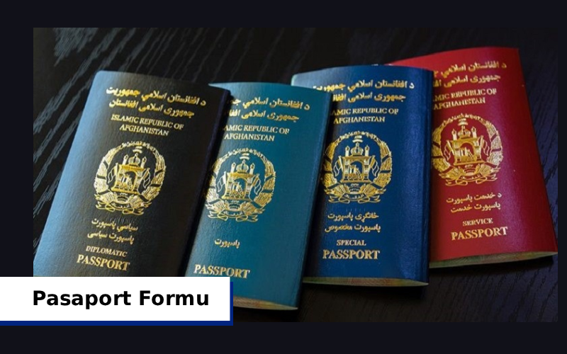 Pasaport Form